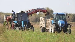 Ставропольские фермеры могут получить до 4,4 млн рублей грантовых средств