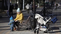 Более 18,5 тыс. ставропольских семей получили соцподдержку