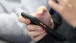 Онлайн-услуги по использованию лесных участков и поездок в такси могут получить жители Ставрополья 