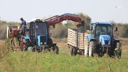 Ставропольские фермеры могут получить до 4,4 млн рублей грантовых средств