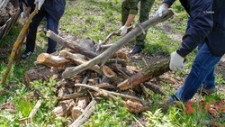 Георгиевский округ подключился ко Всероссийскому субботнику