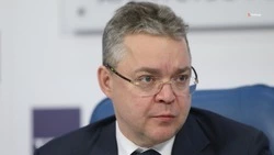 Глава Ставрополья предложил помочь аграриям юга РФ через зерновые интервенции