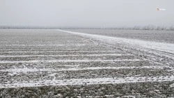 Более 300 га земель изъяли у недобросовестных инвесторов на Ставрополье