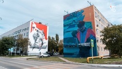 Больше 300 ставропольцев поучаствовали в исследовании СКФУ об уличном искусстве