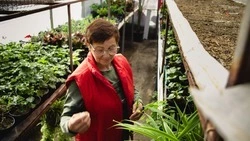 На Ставрополье увеличили финансирование программы по заключению соцконтрактов 