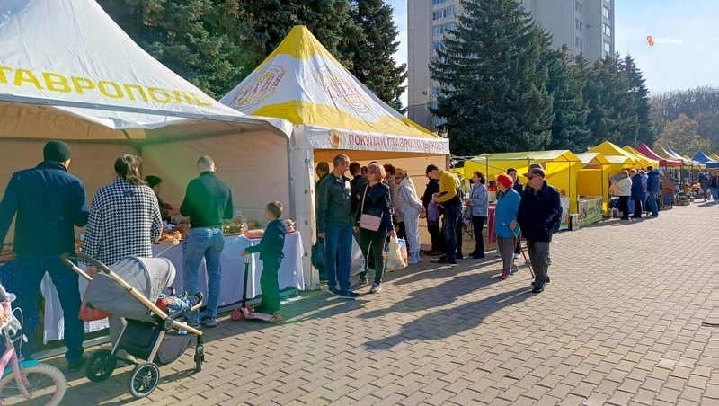 Продуктовая ярмарка пройдёт в Георгиевске в День города 26 сентября