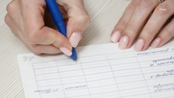 В Георгиевском округе заключили 274 соцконтракта