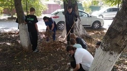 Ежегодная экологическая акция проходит в Георгиевском округе