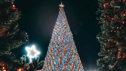 Порядка 140 тыс. ставропольских школьников получили подарки к Новому году
