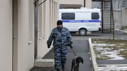 Звонки о минировании поступили в детсады и школы Георгиевского округа