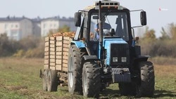 62% субсидий перечислили аграриям Ставрополья