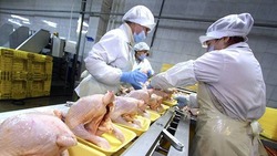 Ставрополье в пять раз нарастило поставки мяса птицы в Грузию