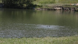 Контроль за уровнем воды в реках усилят на Ставрополье