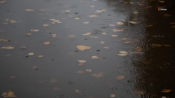 Пасмурная погода и дождь ожидаются в Георгиевске 20 октября