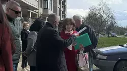 Сохранить деревья при реконструкции проспекта попросили жители Лермонтова 