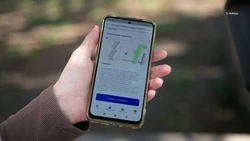 Голосование за объекты благоустройства на Ставрополье завершится 12 июня
