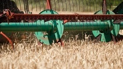 Аграрии Ставрополья собрали 2,9 млн тонн зерна