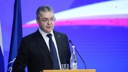 Губернатор Владимиров распорядился подготовить план сотрудничества с Белоруссией