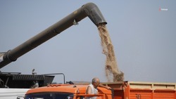 Аграрии Ставрополья собрали 3,7 млн тонн зерна 