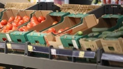 Ставропольским школьникам расскажут о правильном питании в рамках нового проекта
