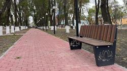Масштабную зону отдыха обустроили в ставропольском селе 