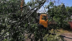 Семье в Георгиевске помогут из-за разрушения дома после падения ясеня