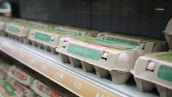 Цена на куриные яйца на Ставрополье остаётся одной из самых низких