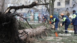 Власти Ставрополья работают над восстановлением поврежденных объектов после урагана 