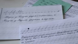 Многодетным ставропольцам напоминают о возможности получить выплаты на покупку школьных принадлежностей