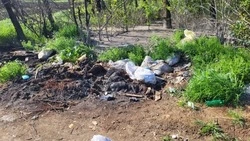 Мусорную свалку у станицы Незлобной ликвидируют во время субботников