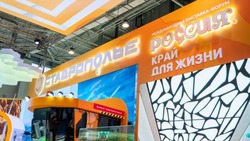 Более 3 млн гостей собрал стенд Ставрополья на выставке «Россия»