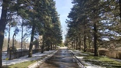 В Ставропольском ботаническом саду рассказали о пользе прогулок по паркам