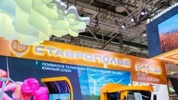 Активисты из Георгиевского округа посетят выставку-форум «Россия»