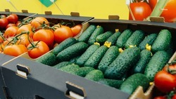 Ставрополье экспортировало продовольствия на 179 миллионов долларов в этом году