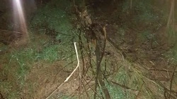 Попавший в аварию автомобилист сбежал с места ДТП в Георгиевском округе и спрятал транспорт