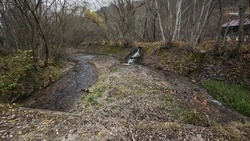 Около 550 субботников по очистке рек и водоёмов пройдёт в 2026 г. на Ставрополье