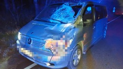 Пешеход погиб ночью на автодороге «Георгиевск — Урухская — Орловка» 