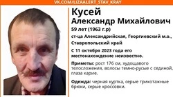 Мужчину в чёрной куртке ищут в Георгиевском округе
