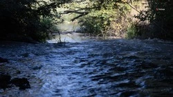 Губернатор Ставрополья поручил усилить мониторинг паводковой ситуации