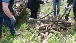 Выставку инсталляций из переработанного мусора откроют в Кисловодске