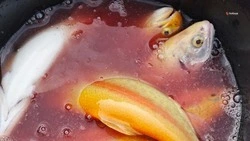 Ставропольское хозяйство поставило в торговые сети 30 тонн радужной форели