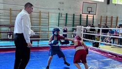 В Георгиевском округе первенство по боксу собрало более ста спортсменов