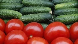 Продукция местных производителей увеличивает присутствие в торговых сетях Ставрополья 