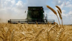 Губернатор Ставрополья: Сельхозпроизводители обеспечены всеми необходимыми для жатвы ресурсами 