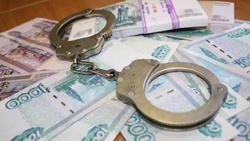 В Ставропольском крае сотрудниками полиции пресечен факт уклонения от уплаты налогов