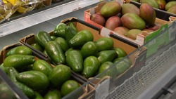 Школьников Георгиевского округа научили выбирать качественные продукты в магазине 