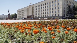 Ставрополье примет ещё 1,5 тыс. детей из Белгородчины