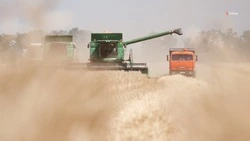 Аграрии Георгиевского округа завершили уборочную кампанию 