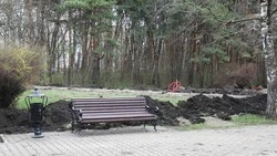 Новые ограждения устанавливают в парке села Чернолесского