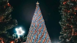 Порядка 140 тыс. ставропольских школьников получили подарки к Новому году